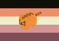 lowpolycatgender